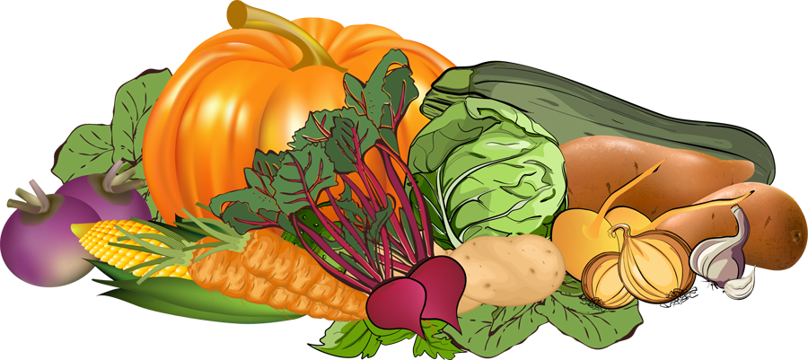 Winter vegetables clipart 20 free Cliparts | Download images on