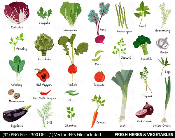 Vegetable clip art.