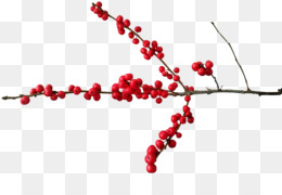 Winterberry PNG and Winterberry Transparent Clipart Free.
