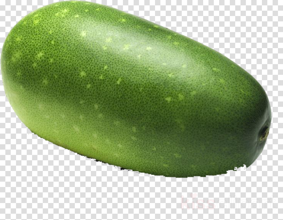 green winter melon plant food vegetable clipart.