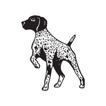 German wirehaired pointer clipart.