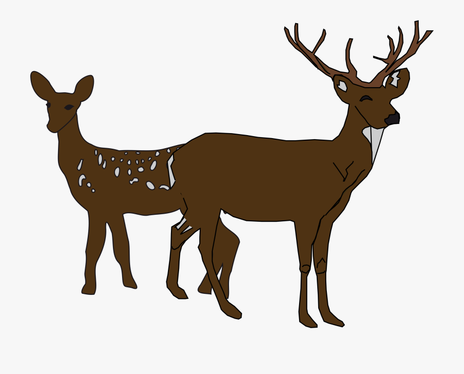 Whitetail Deer Antlers Clipart.