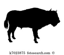 Wisent Clip Art and Illustration. 129 wisent clipart vector EPS.