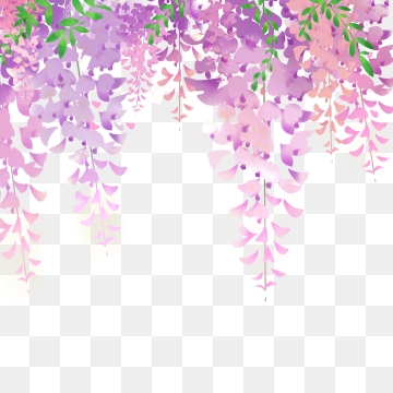 Wisteria Flower Png, Vector, PSD, and Clipart With Transparent.