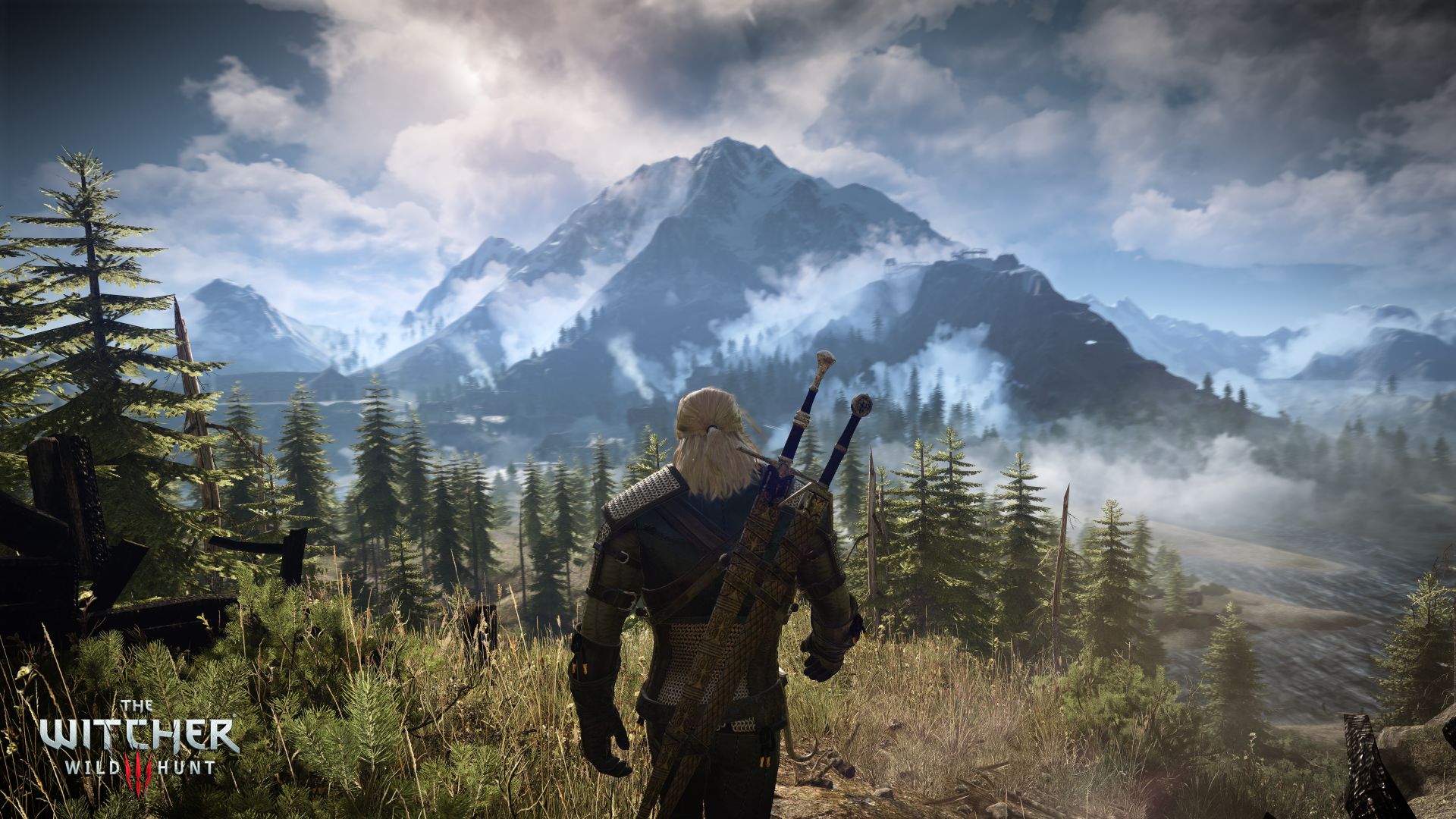 The Witcher 3: Wild Hunt Eyes.