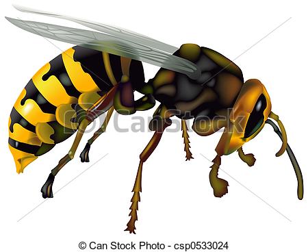 Wasps Stock Illustrations. 2,519 Wasps clip art images and royalty.
