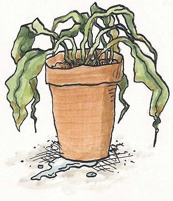 Withering Plant Clipart.