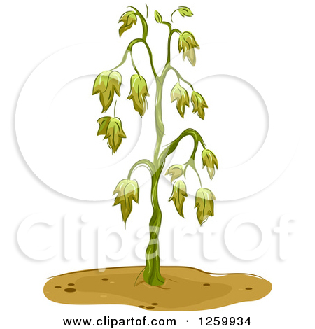 Dry area plants clipart 20 free Cliparts | Download images on