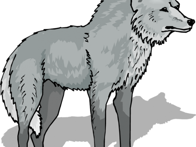 Free Wolf Clipart Transparent, Download Free Clip Art, Free.
