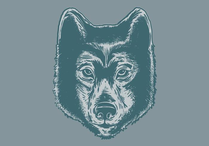 wolf head portrait.