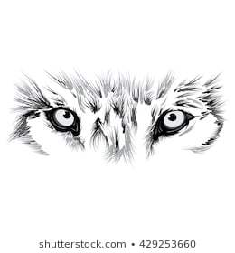 wolf eyes clip art 10 free Cliparts | Download images on Clipground 2021