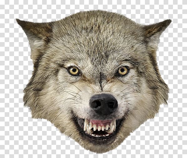 wolf teeth clipart png 10 free Cliparts | Download images on Clipground