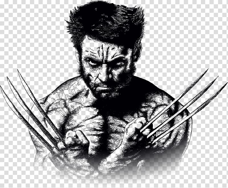 Wolverine illustration, Wolverine Minerva Design Drawing.