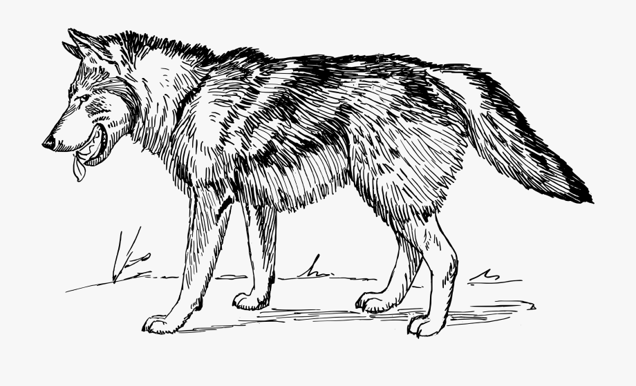 wolves clipart black and white 10 free Cliparts | Download images on ...