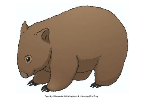 Wombat poster.
