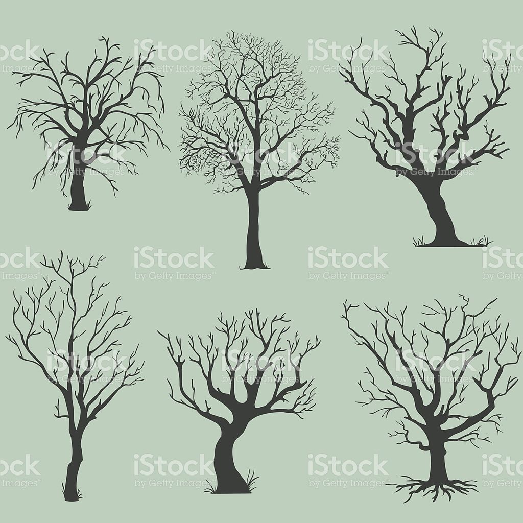 vector set of silhouettes bare trees in 2019.