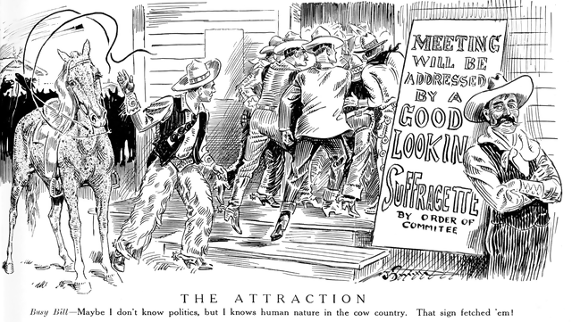 Women\'s Suffrage Cartoon.