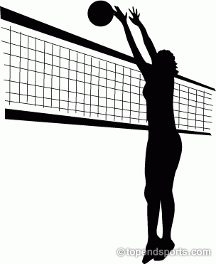 volleyball picture art.