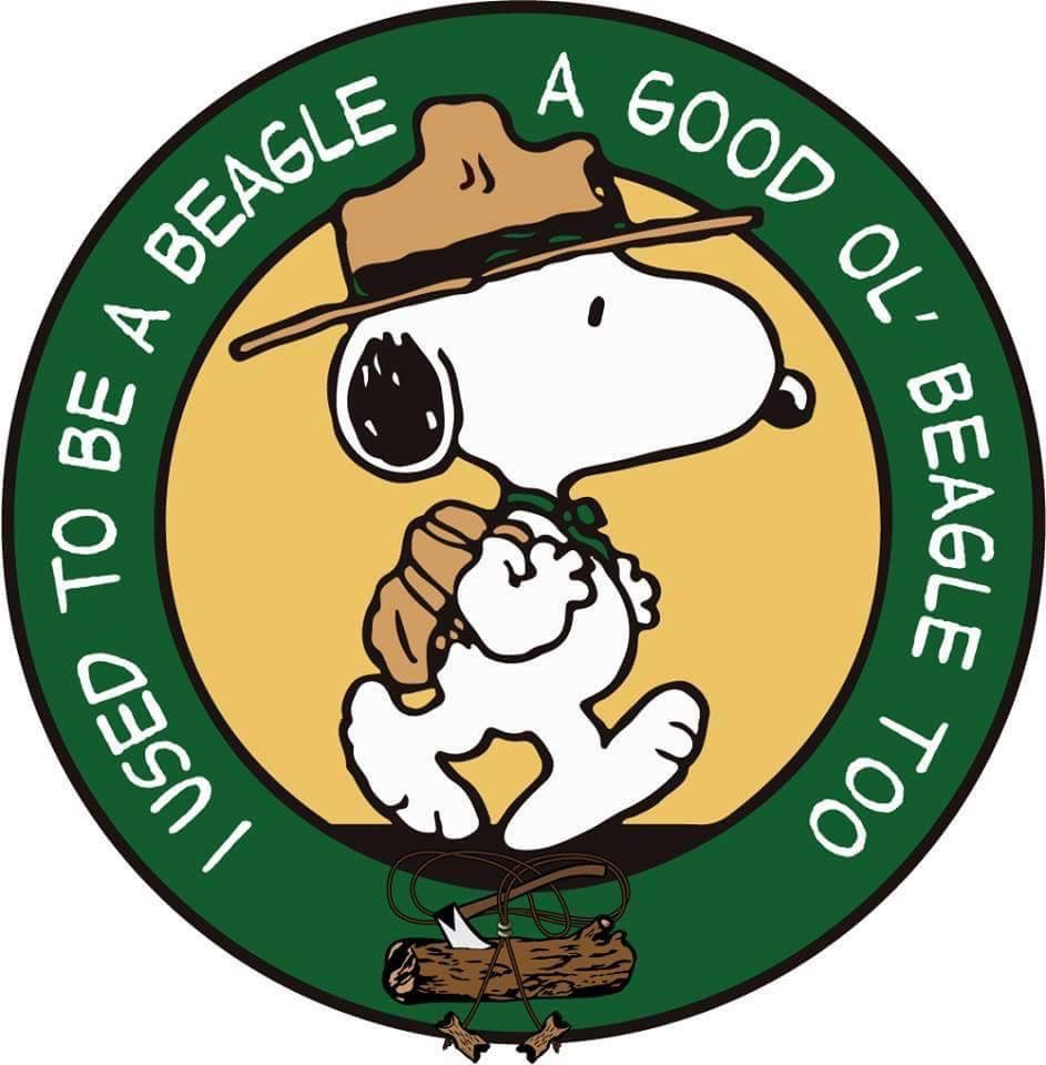 A Scoutmaster\'s Blog » Wood Badge.