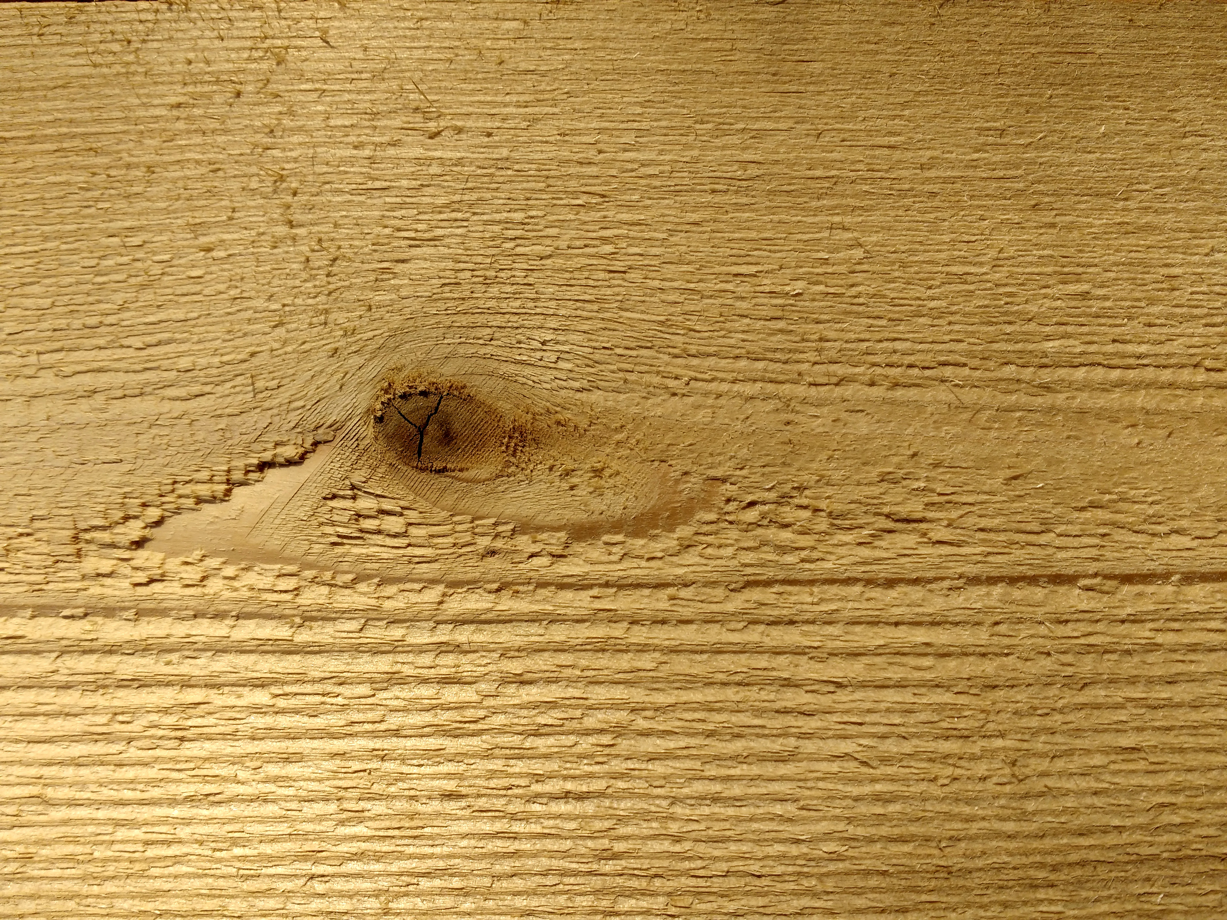 Knot in Wood Texture Picture.