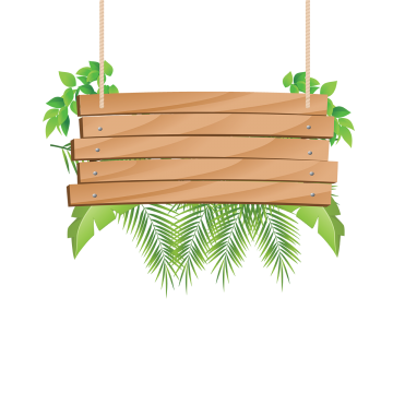 Wood PNG Images.