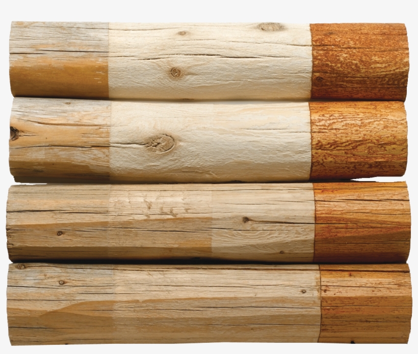 Wood Logs PNG & Download Transparent Wood Logs PNG Images for Free.