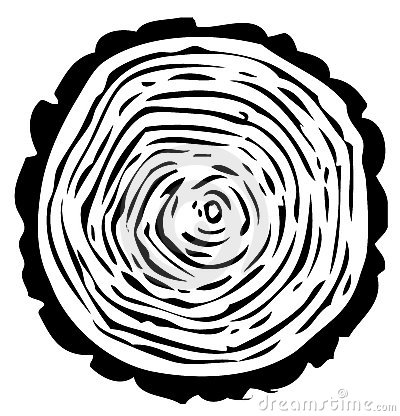 Tree rings clipart.