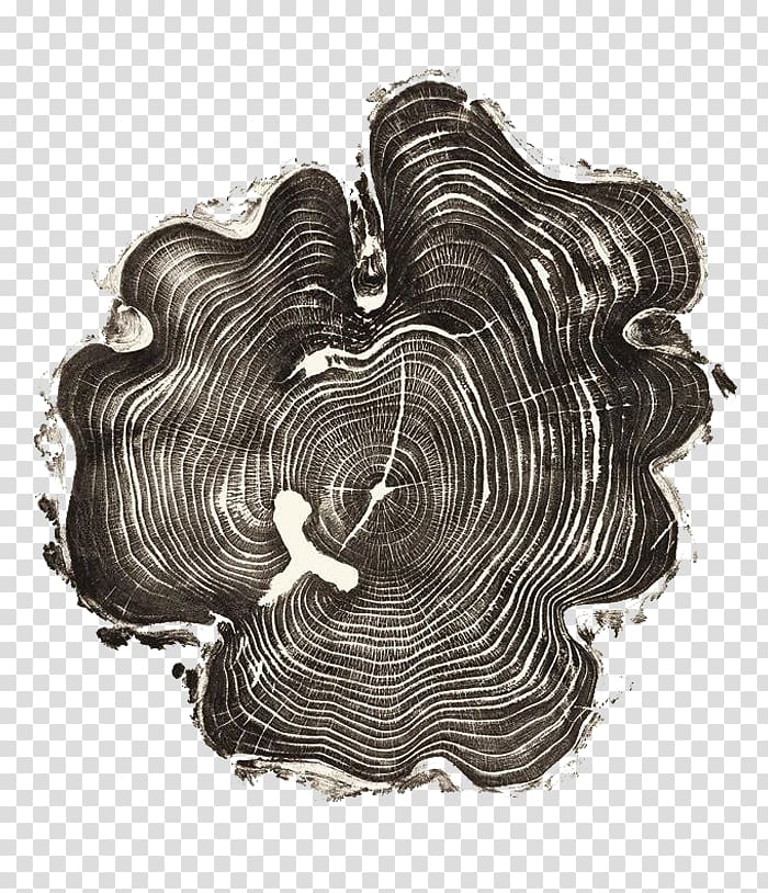 United States Woodcut Artist Printmaking Tree, Tree rings.
