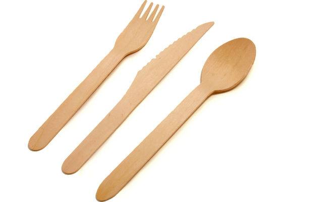 Disposable Wooden Spoons.