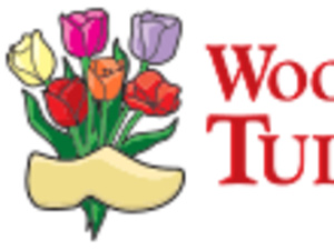 Wooden shoe clipart tulip clipart images gallery for free.
