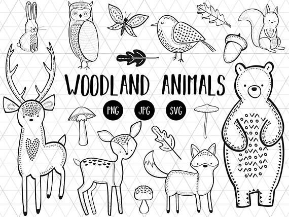 Download woodland animals clip art black and white 10 free Cliparts | Download images on Clipground 2020