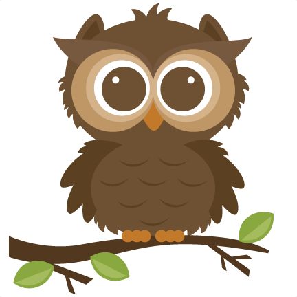 Forrest Owl SVG cut file for scrapbooking forrest animals.