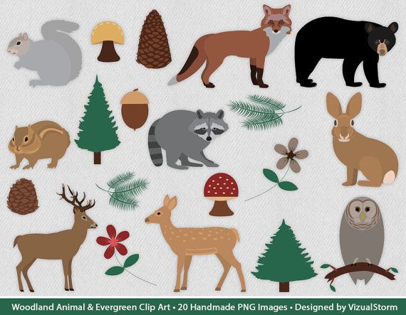Woodland Clipart Forest Critters, Plants Trees and Forest.