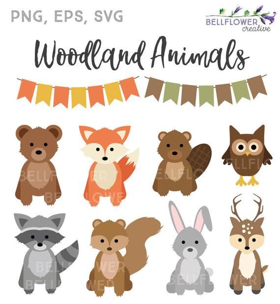 woodland-baby-boy-clipart-10-free-cliparts-download-images-on