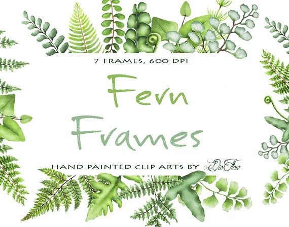 Watercolor Fern Clipart Greenery Frames Clip Art Ferns Leaf Leaves.