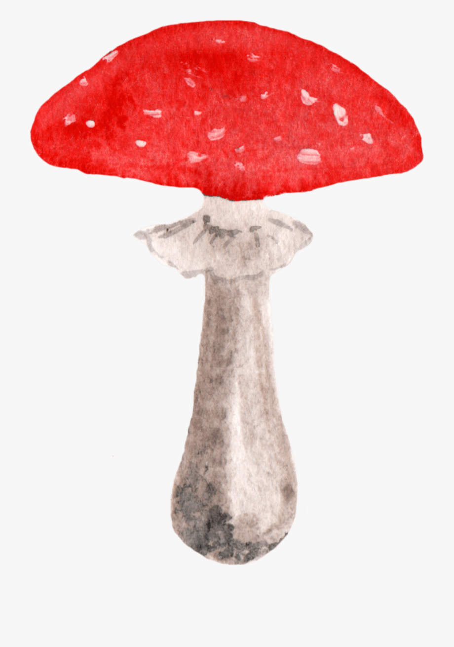 Ftestickers Watercolor Clipart Woodlands Mushroom.