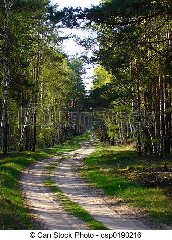 Stock Image of woodland path.