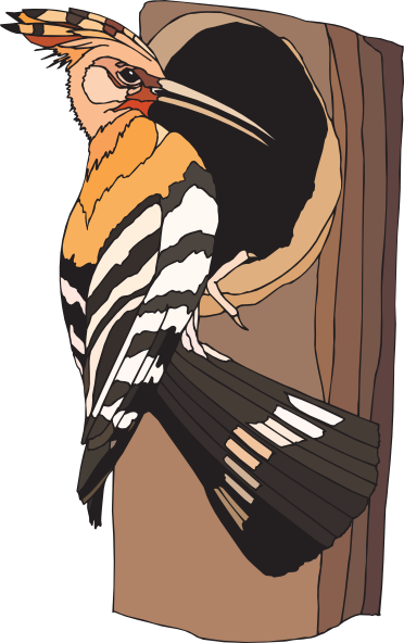 Woodpecker Bird Clip Art.
