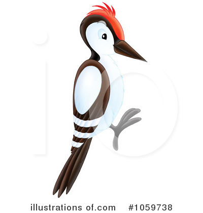 Woodpecker clipart 2 » Clipart Station.