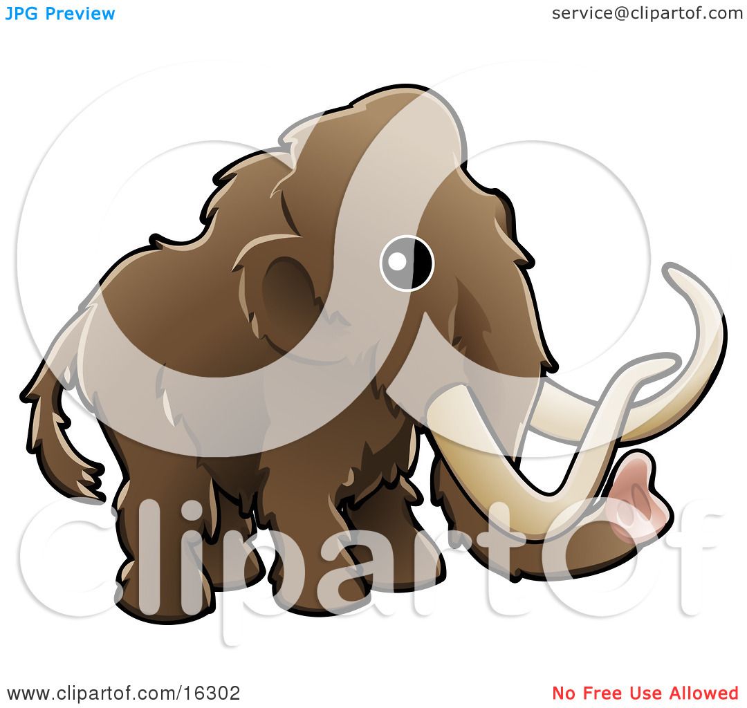 Baby Brown Woolly Mammoth, Also Known As The Tundra Mammoth.