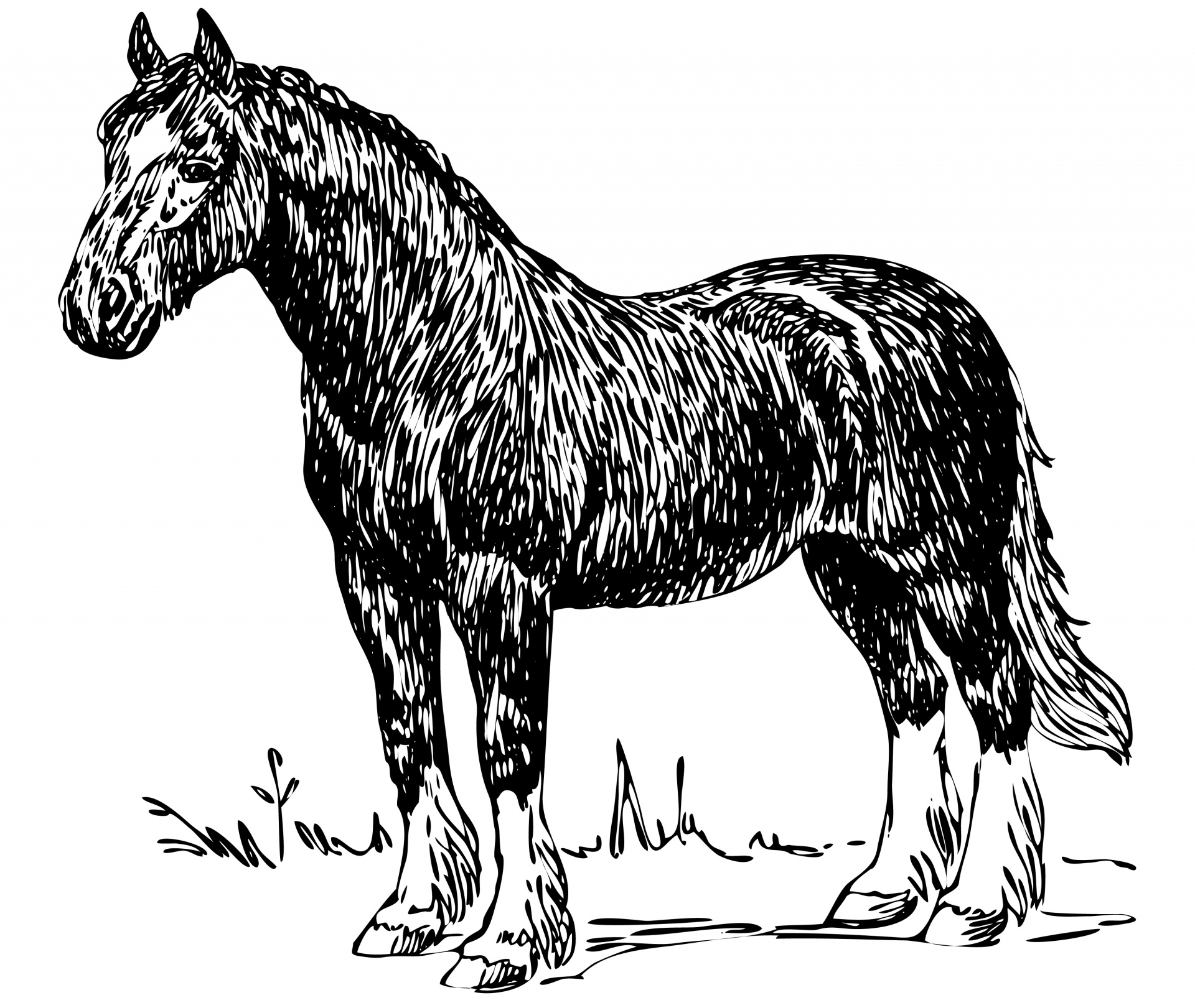Horse Illustration Clipart Free Stock Photo.