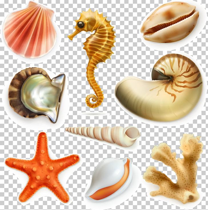 Fishes Of The World Seahorse Marine Biology PNG, Clipart.