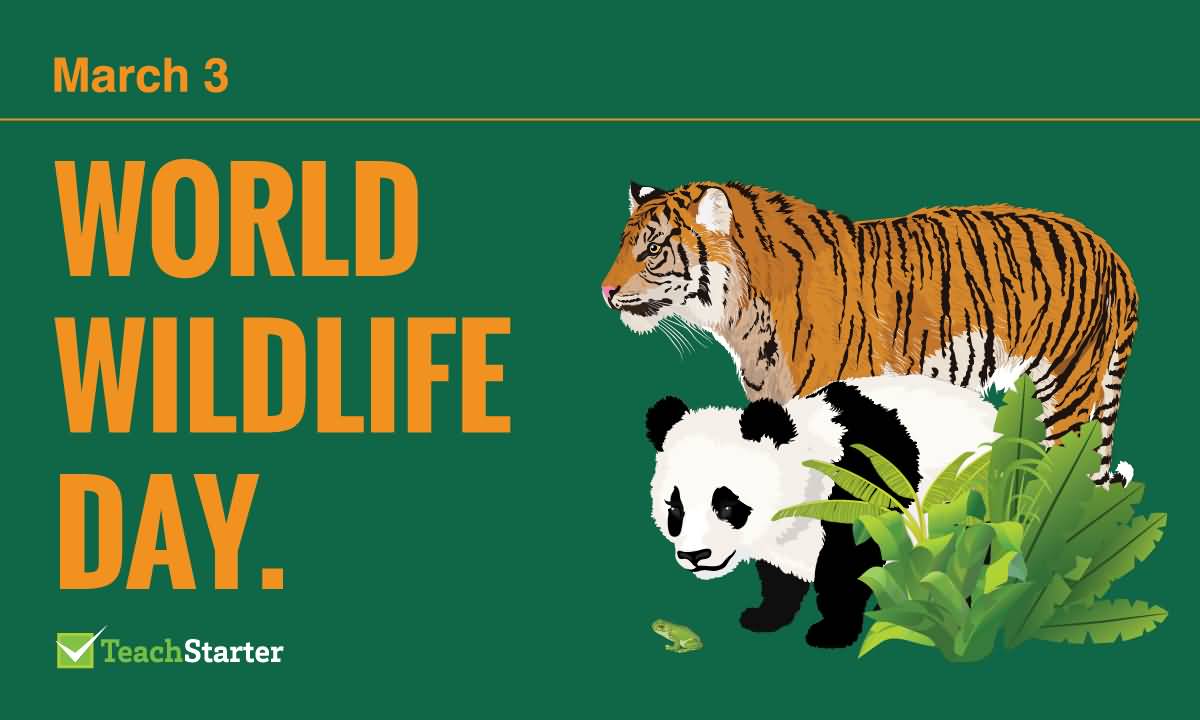 World Wildlife Day.