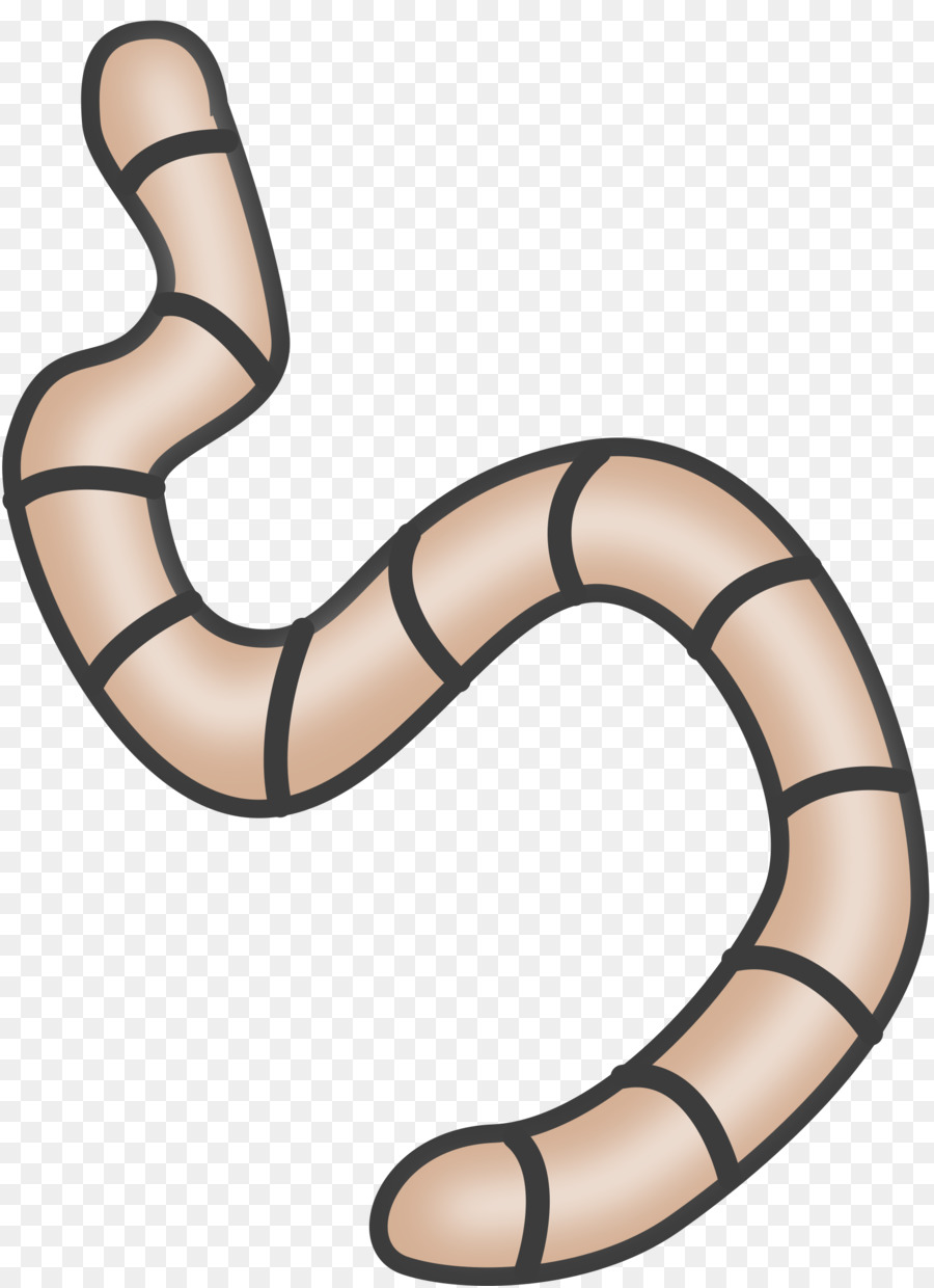 Worm Reptile png download.