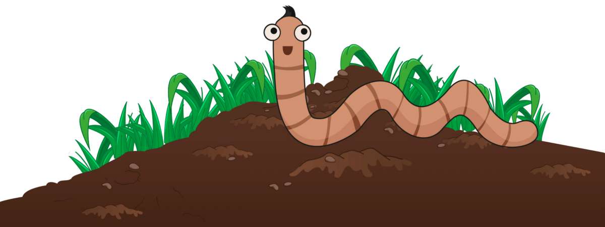 Wonderful Worms: Primary School resource.