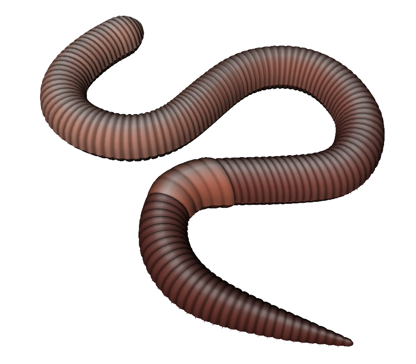 Earthworm Worm PNG #14987.