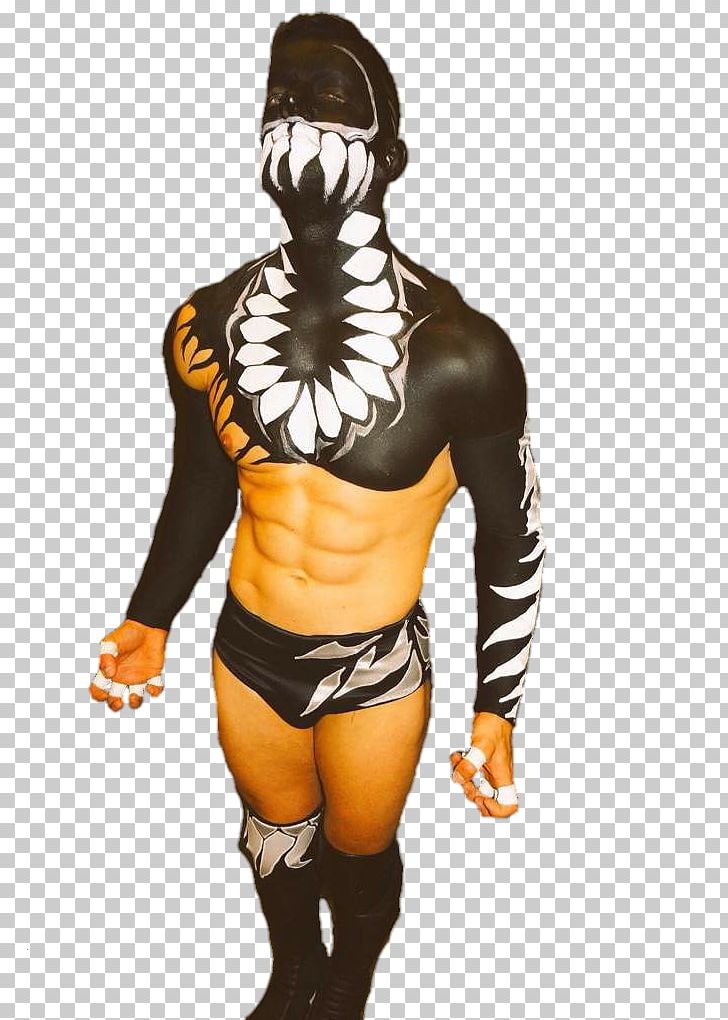 Professional Wrestling PNG, Clipart, Anime, Arm, Art, Artist.