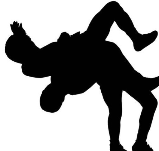 The best free Wrestling silhouette images. Download from 150.