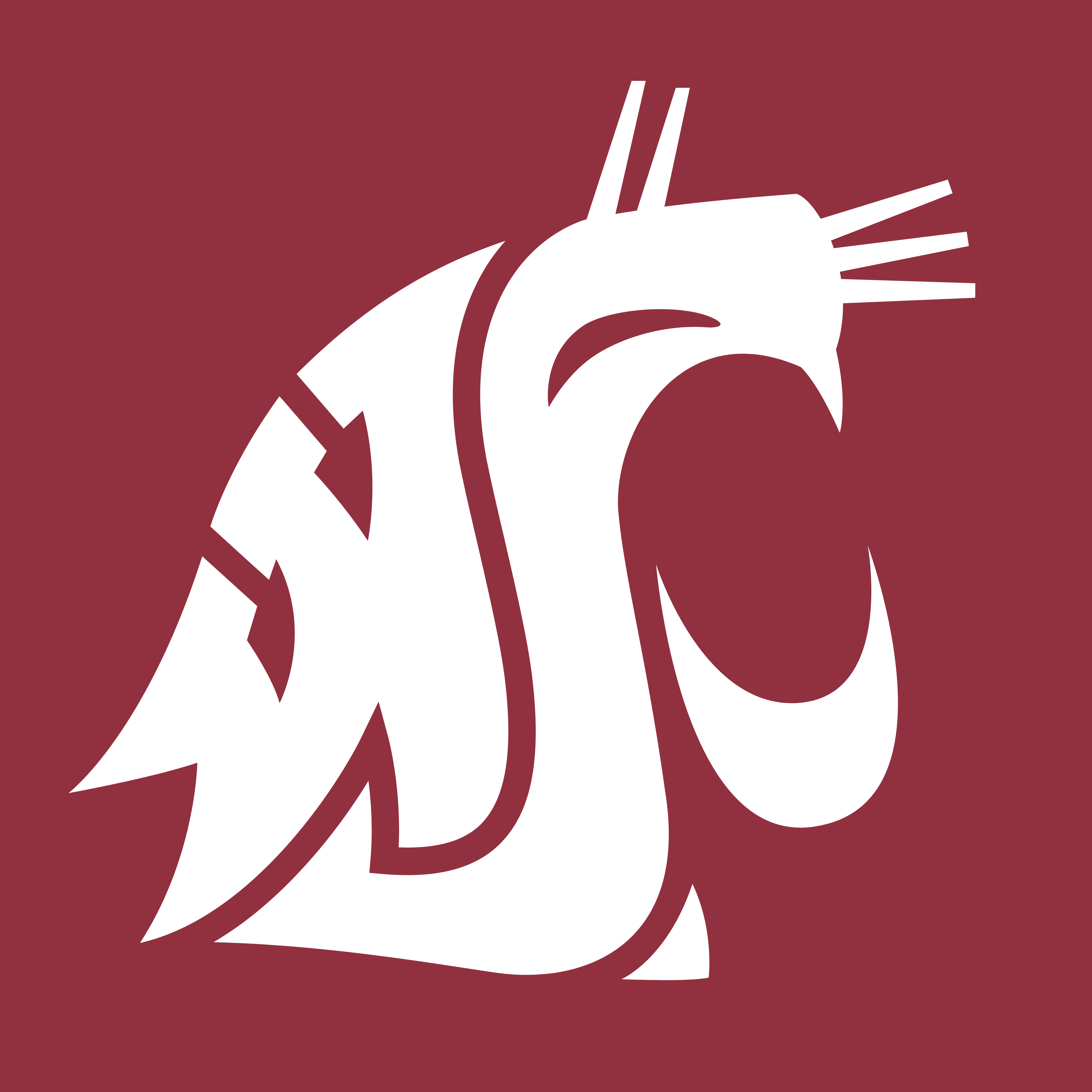 Washington State Cougars.