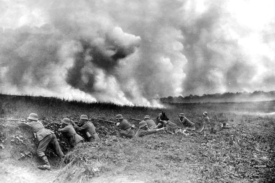 World War I in Photos: Animals at War.